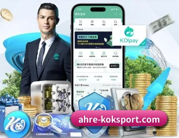 KOK体育 APP 深度功能